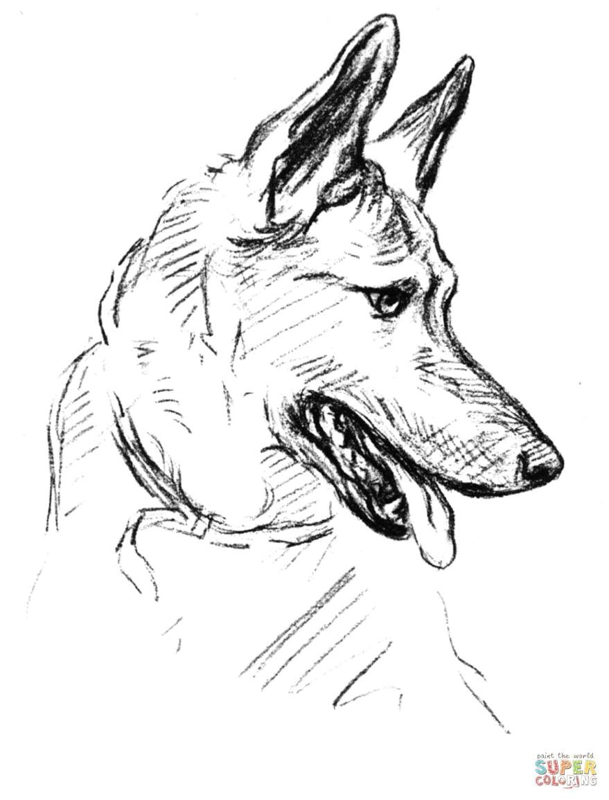 How to Draw A German Shepherd Easy Baby German Shepherd Coloring Pages Mrengmeng Link Dog