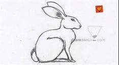 How to Draw A Hare Easy Step by Step 43 Best Hare Art Images Hare Art Rabbit Art