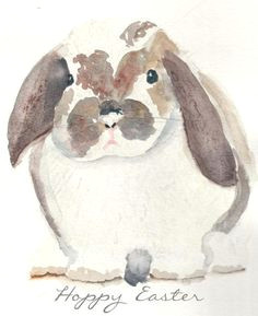 How to Draw A Hare Easy Step by Step Die 2114 Besten Bilder Von Tiere Malen Tiere Malen Bunte