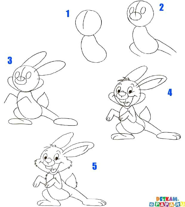 How to Draw A Hare Easy Step by Step Hasen Zeichnen Lernen Tiere Zeichnen Lernen Zeichnen Lernen