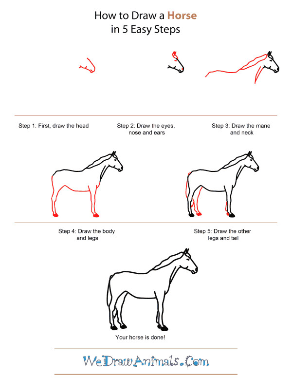 How to Draw A Horse Step by Step Easy 68 Surprising How to Draw A Hore