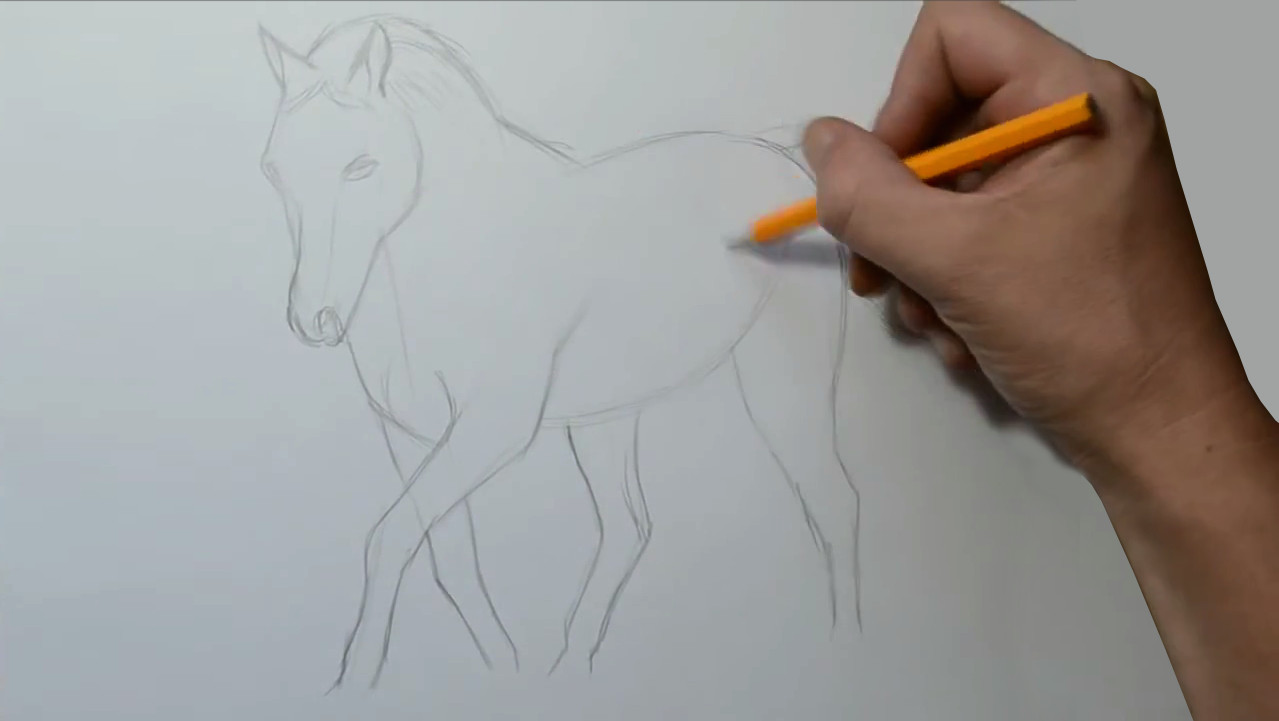 How to Draw A Horse Step by Step Easy How to Draw A Horse Step by Step In 2019 Creature Drawings