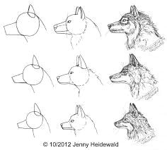 How to Draw A Husky Easy How to Draw An Wolf Google Search Wolf Head Drawing