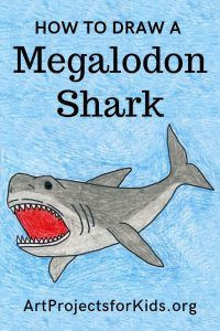 How to Draw A Megalodon Easy 303 Best Apfk Tutorials Images In 2020 Art Projects