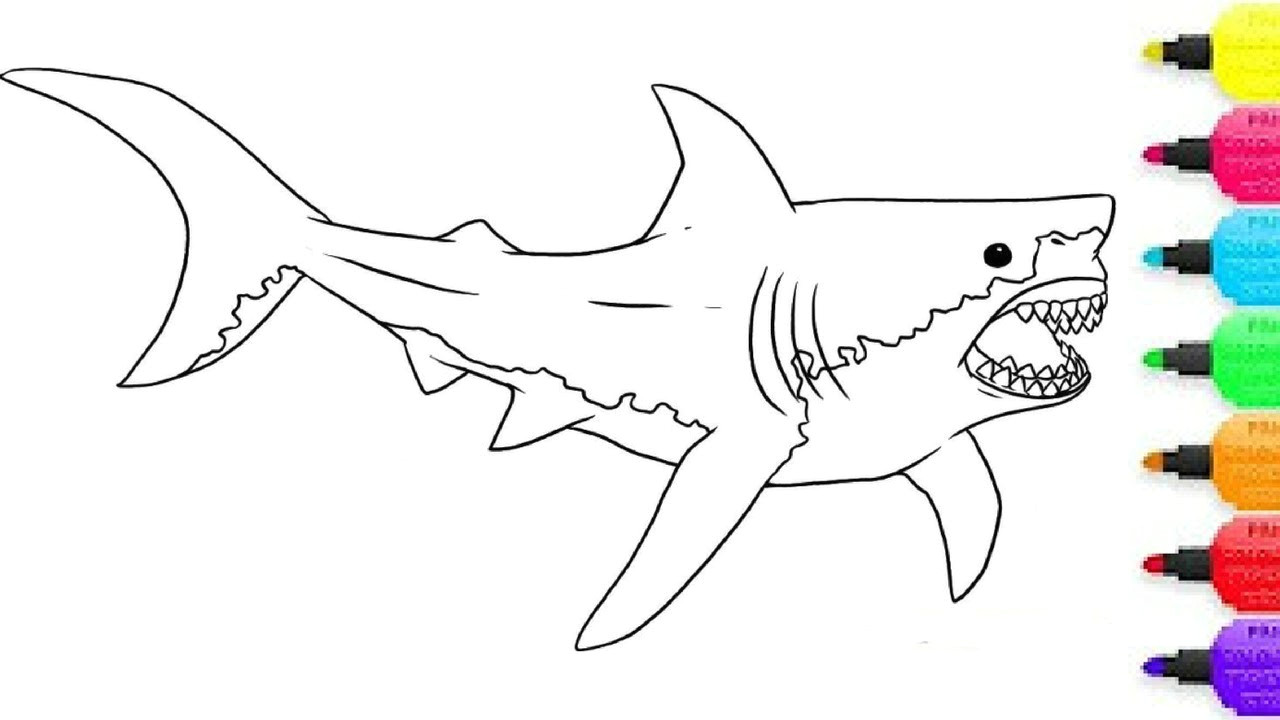 How to Draw A Megalodon Easy 6484 Shark Free Clipart 41