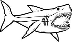 How to Draw A Megalodon Step by Step Easy 38 Best How to Draw Dinosaurs Images Dinosaur Drawing
