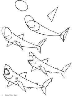 How to Draw A Megalodon Step by Step Easy 59 Best Shark Drawings Images Shark Drawing Shark Drawings