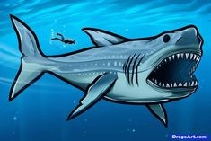 How to Draw A Megalodon Step by Step Easy 84 Best Shark Week Images Shark Week Shark Good Week