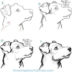 How to Draw A Pitbull Face Easy Step by Step 17 Best Dog Drawing Simple Images Dog Drawing Simple