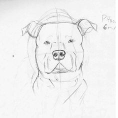 How to Draw A Pitbull Face Easy Step by Step 37 Best Dog Images Pitbulls Pitbull Drawing Bull Tattoos