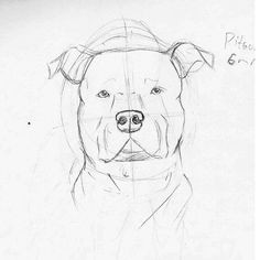 How to Draw A Pitbull Face Easy Step by Step 37 Best Dog Images Pitbulls Pitbull Drawing Bull Tattoos