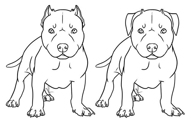 How to Draw A Pitbull Face Easy Step by Step 96 Best Dog Paint Images Dog Art Dog Paintings Pet Portraits