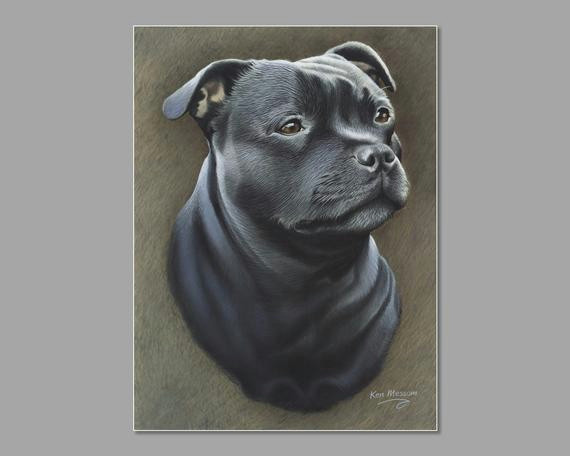 How to Draw A Staffy Dog Easy Staffordshire Bull Terrier Print by Ken Messom Free Uk Postage