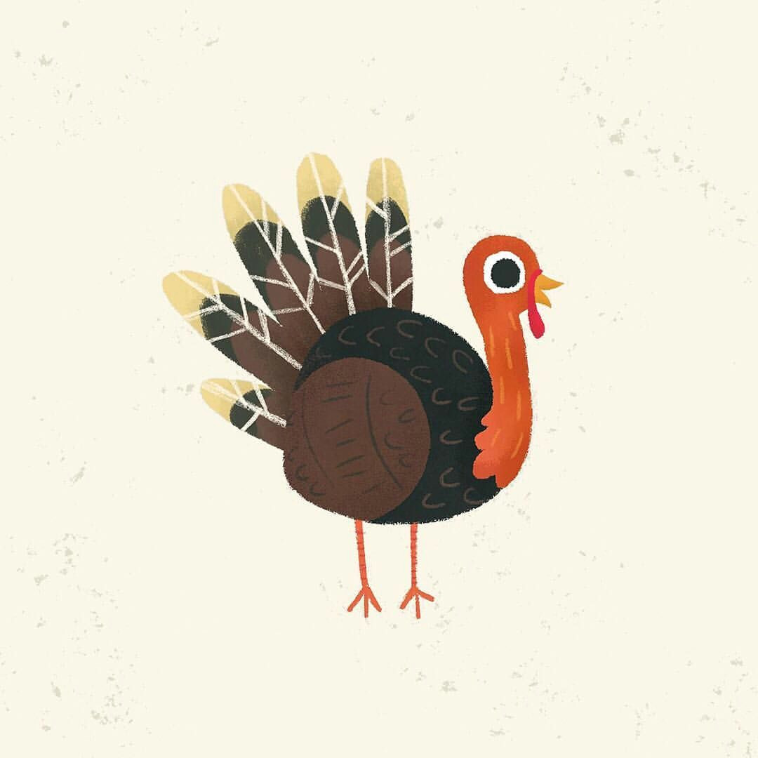 How to Draw A Turkey Easy Step by Step 12 Best Turkey Drawing Images Turkey Drawing Thanksgiving