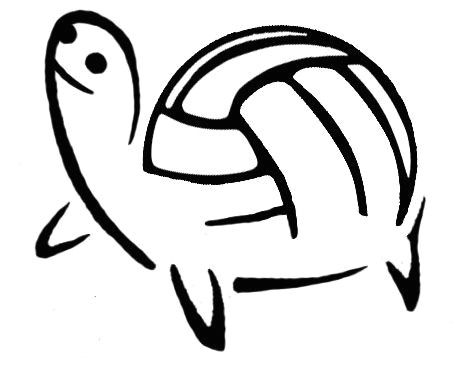 How to Draw A Volleyball Easy This Will Probably Be My Next Tattoo Turtle Volleyball