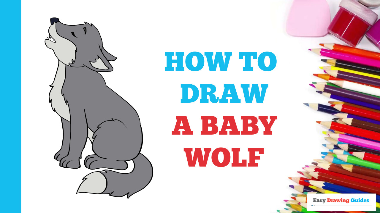 How to Draw A Wolf Easy Step by Step How to Draw A Baby Wolf Wolf Drawing Easy Easy Drawings