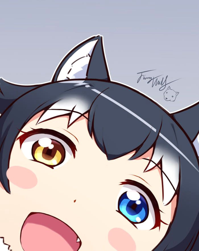 How to Draw A Wolf Girl Anime Grey Wolf Photobombing Kemono Friends Anime Wolf Girl