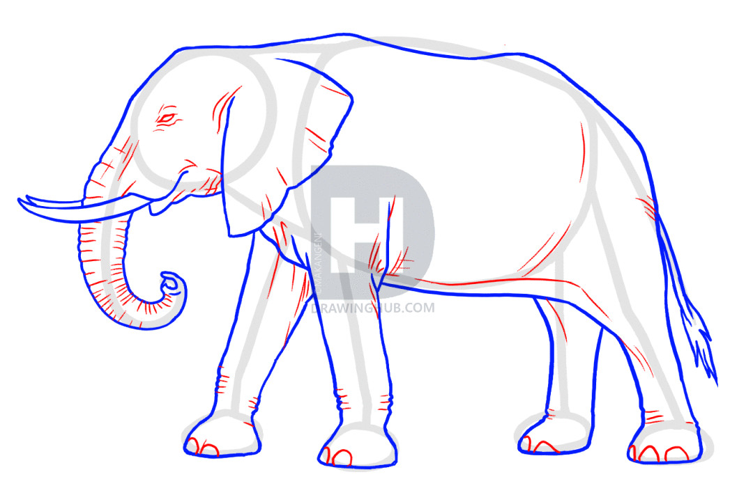 How to Draw An Elephant Step by Step Easy How to Draw Elephants Step by Step Drawing Guide by