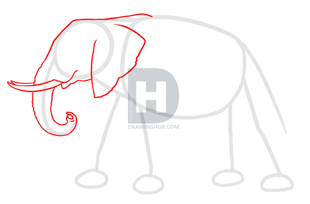 How to Draw An Elephant Step by Step Easy How to Draw Elephants Step by Step Drawing Guide by