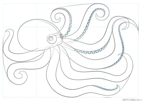 How to Draw An Octopus Easy How to Make A Realistic Skin Blending Technique