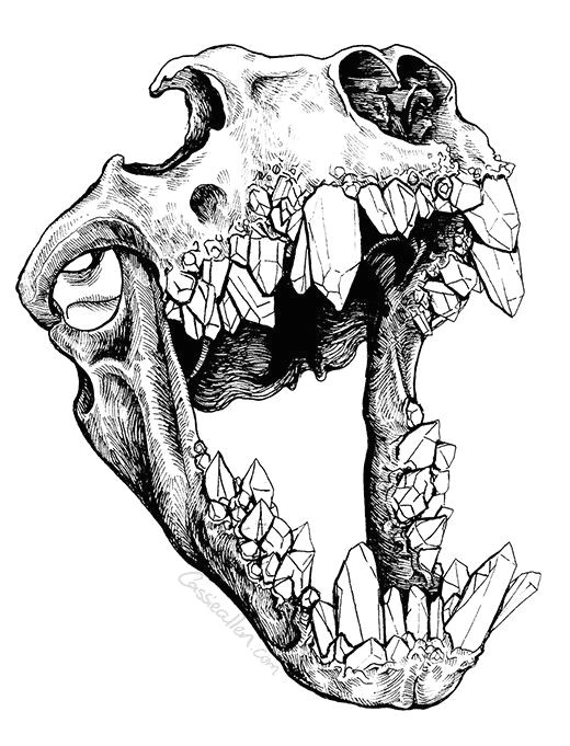 How to Draw Animal Skulls Crystal Teeth Animal Skulls Skull Art Sketches