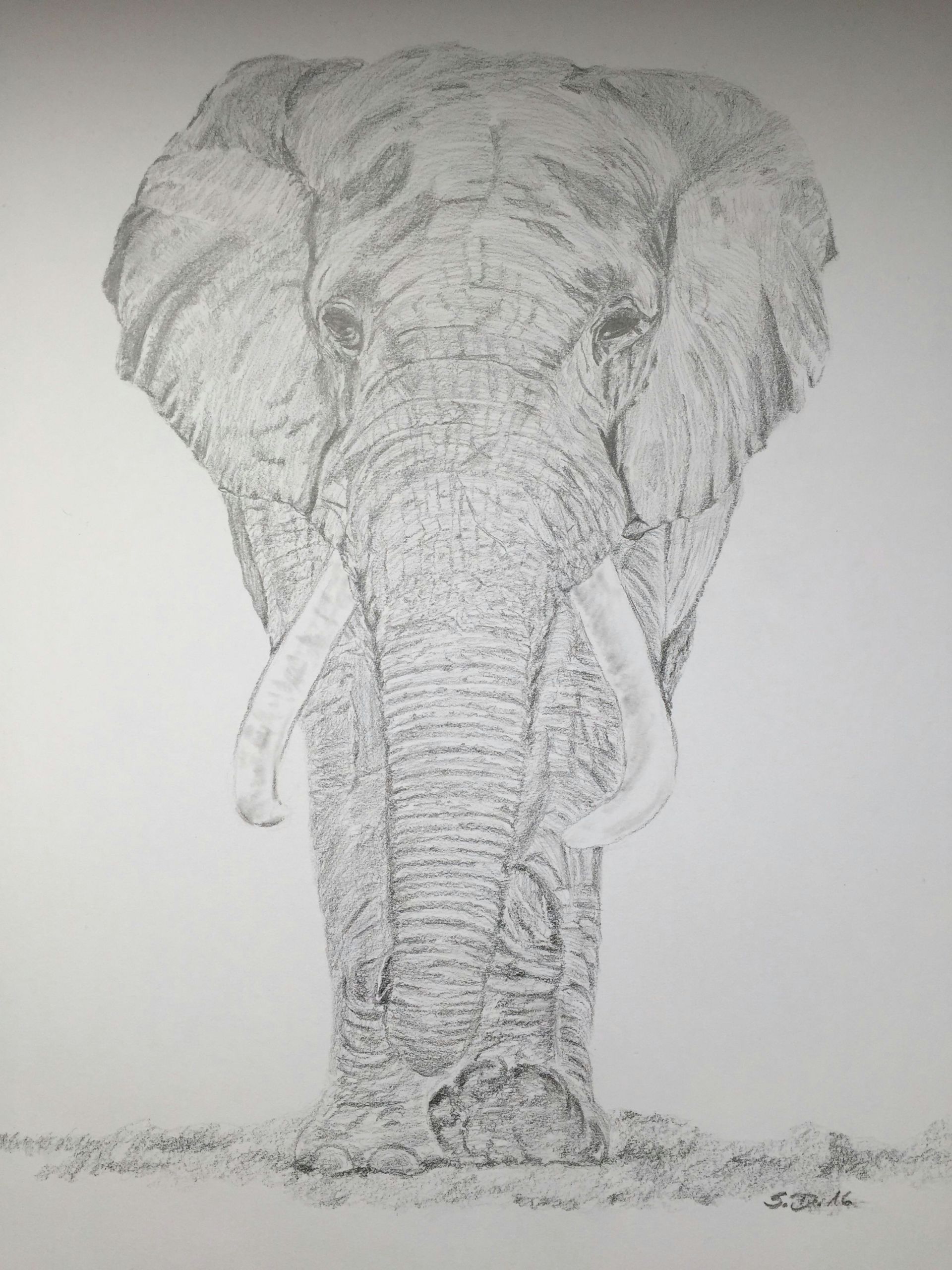 How to Draw Animals Elephant Elefant Bleistift Zeichnung Zeichnung Ideen Bleistift