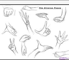 How to Draw Anime Hands Step by Step 23 Best How to Draw Manga Anime Images Manga Drawing