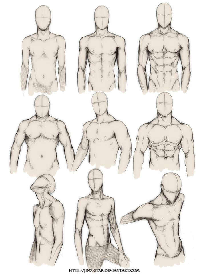 How to Draw Anime Muscles How to Draw the Human Body Study Male Body Types Comic