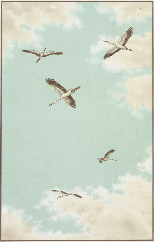 How to Draw Birds In the Sky Easy the Project Gutenberg Ebook Of Der Vogelflug Als Grundlage