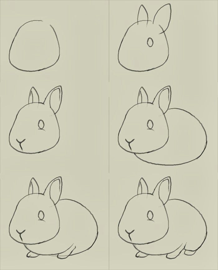 How to Draw Cute Simple Animals Pin Oleh Nadd Di Handicraft Cara Menggambar Sketsa Dan