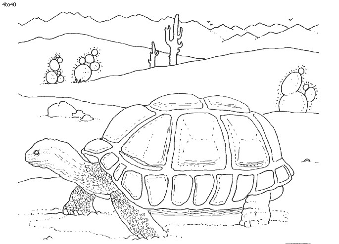 How to Draw Desert Animals Animals Coloring Pages Kids Portal for Parents Desert