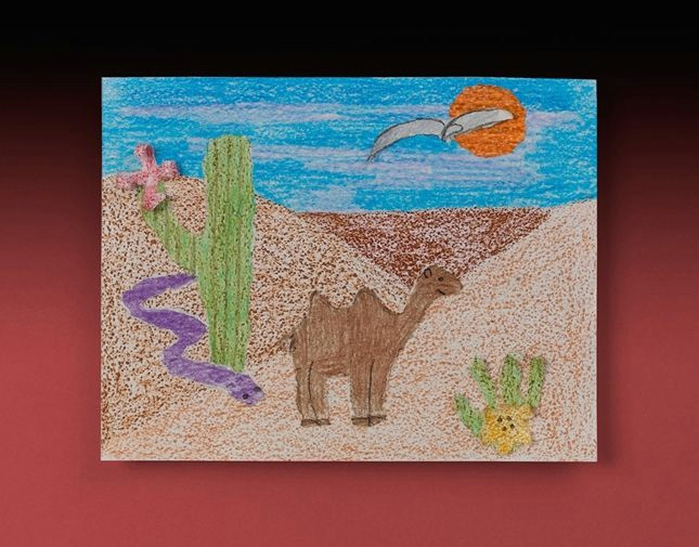 How to Draw Desert Animals Ciy Crafts Desert Crafts Desert Animals Animal Crafts