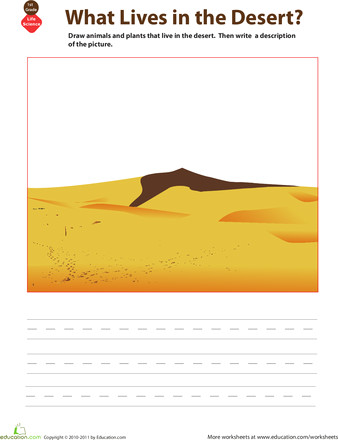 How to Draw Desert Animals Sketch A Habitat Desert Habitats Deserts Kinder Science