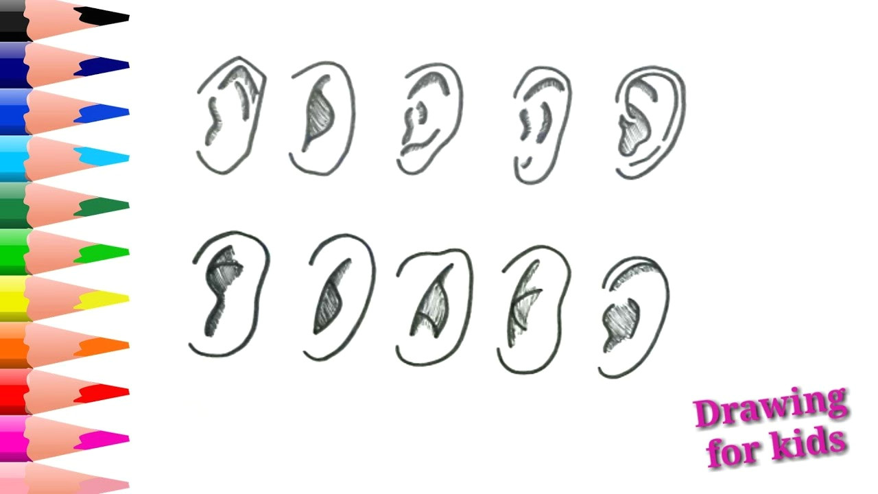 How to Draw Ears Anime Como Dibujar orejas Anime How to Draw Anime Ears