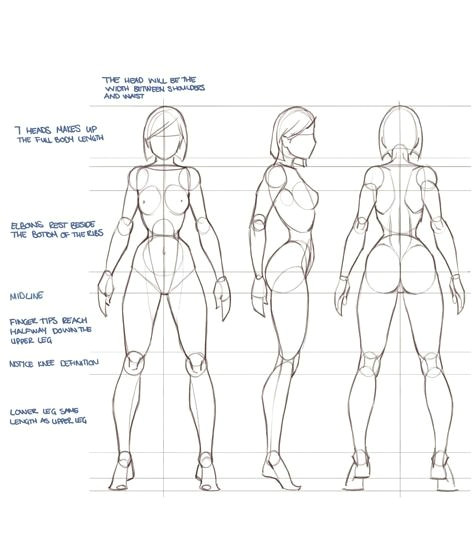 How to Draw Female Body Anime Amazing Proportion Tutorial by Independent Artist Warren