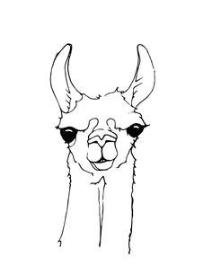 How to Draw Llama Easy 8 Best Llama Drawing Images Llama Drawing Llama Arts