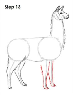 How to Draw Llama Easy 8 Best Llama Drawing Images Llama Drawing Llama Arts