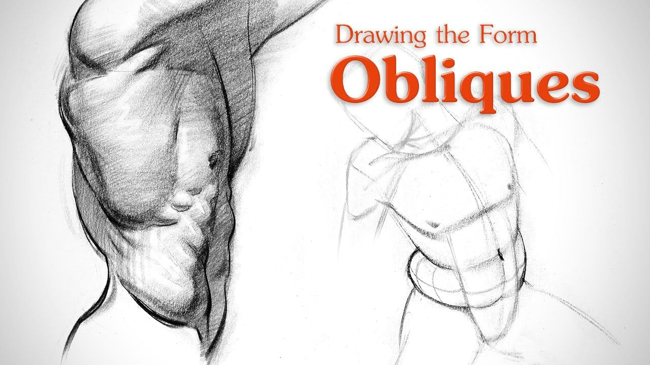 Human Anatomy Easy Drawing Drawing Tutorial Covering the form Of the Obliques Aka