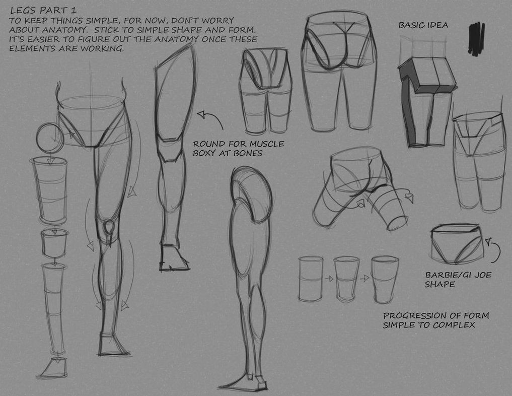 Human Anatomy Easy Drawing Pin On Anatomy Breakdown