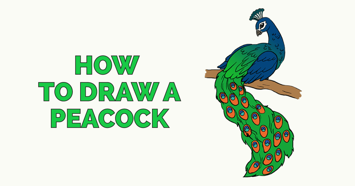 Independence Day Drawing Easy Step by Step How to Draw A Peacock Drawing Tutorials for Kids Easy