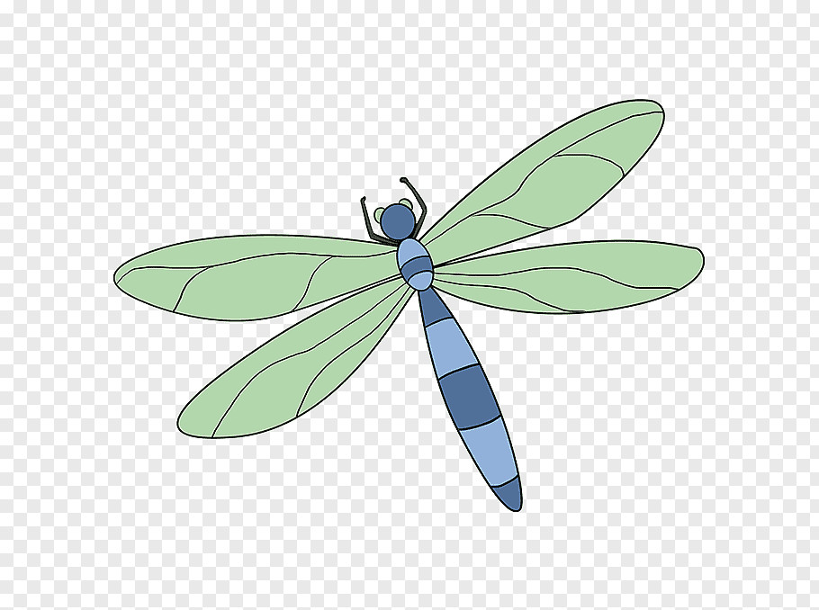 Insect Drawing Easy Damselfly Cutout Png Clipart Images Pngfuel