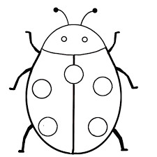 Insect Drawing Easy My Saves Insect Coloring Pages Ladybug Coloring Page Bug