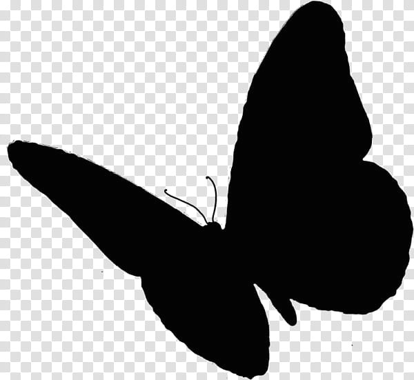 Invertebrate Animals Drawing Cartoon Nature butterfly Insect Scarlet Mormon Animal