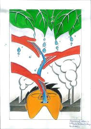 Kalikasan Drawing Easy Image Result for Save Water Poster Water Poster Save