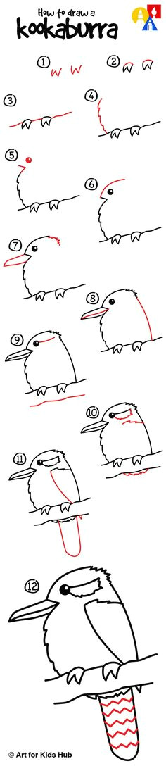Kookaburra Drawing Easy 62 Best Afkh Step by Steps Images Art for Kids Hub