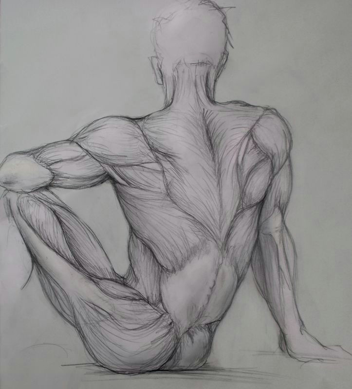 Life Drawing Ideas 10 Staggering Drawing the Human Figure Ideas Anatomy