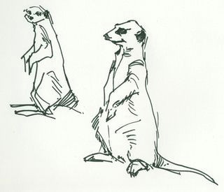 Meerkat Drawing Easy 117 Best Animals Images In 2019 Animals Animal Drawings