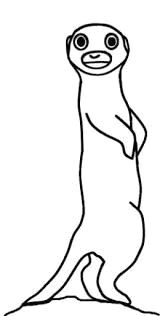 Meerkat Drawing Easy 75 Best Surikate Images Drawings Animal Drawings