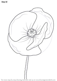 Memorial Drawings Easy 46 Best How to Images Poppies Poppy Drawing Drawings