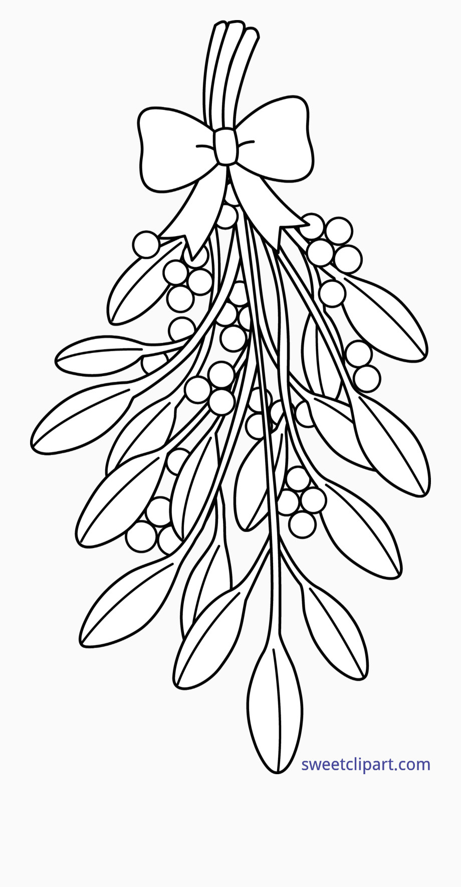 Mistletoe Drawing Easy Free Printable Coloring Page Mistletoe Pusat Hobi